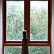 Fenster